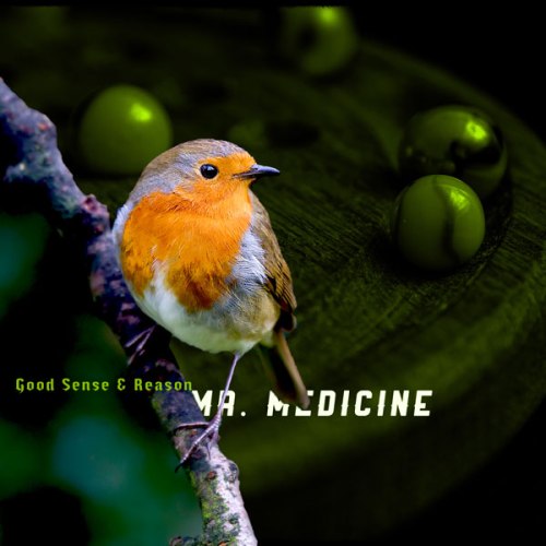 SP14_DES220_LES_02_album_mr-medicine